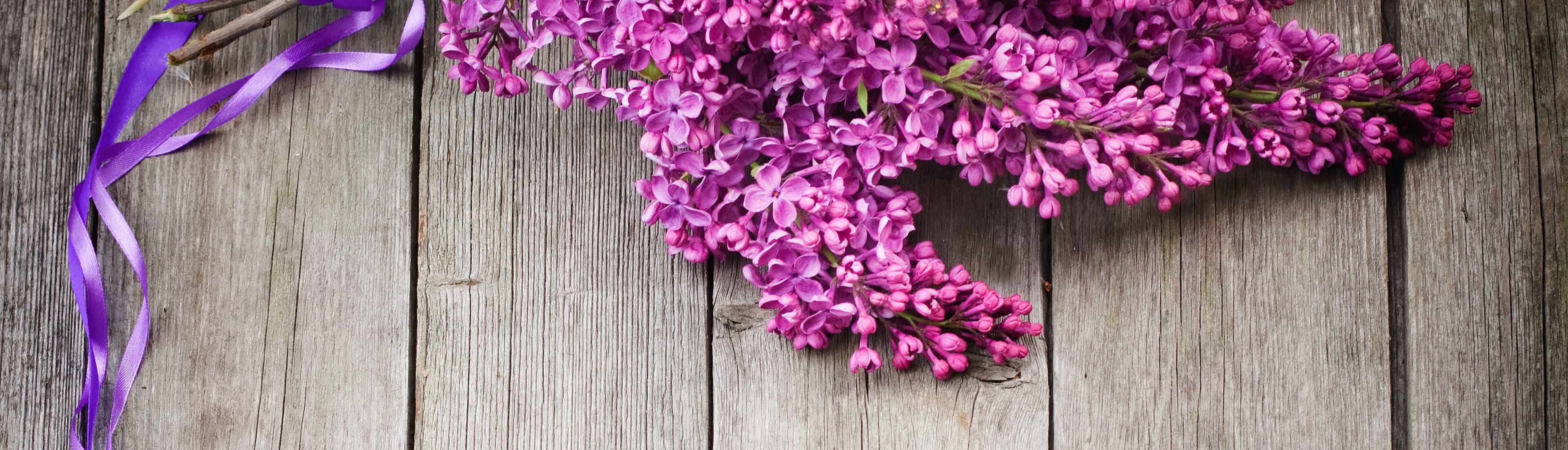 Constance Morris House Anniversary