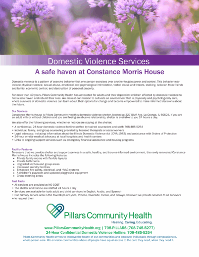 Domestic Violence Handout 2024.pdf