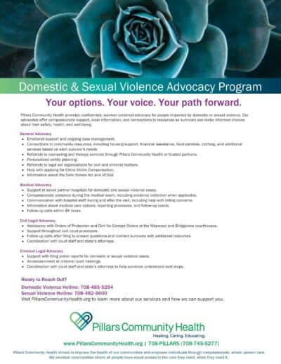 DVSA Advocacy Flyer 2025